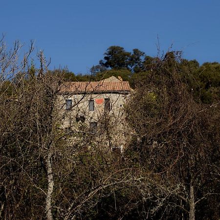 Casa Giacometti Grosseto-Prugna Bagian luar foto