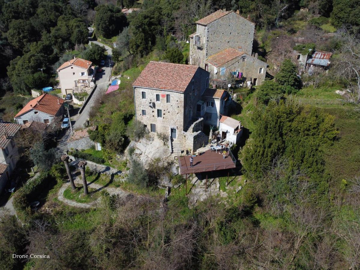 Casa Giacometti Grosseto-Prugna Bagian luar foto