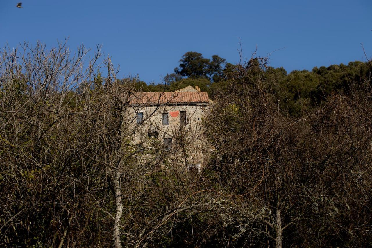 Casa Giacometti Grosseto-Prugna Bagian luar foto