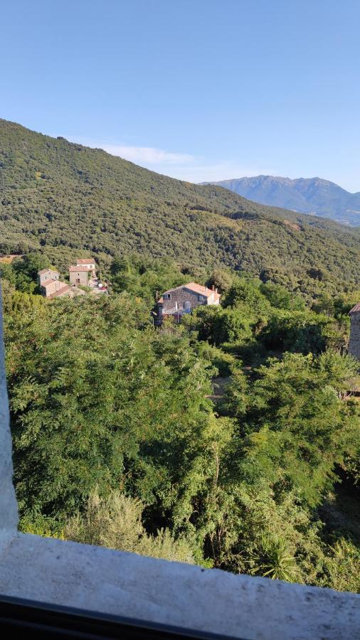 Casa Giacometti Grosseto-Prugna Bagian luar foto