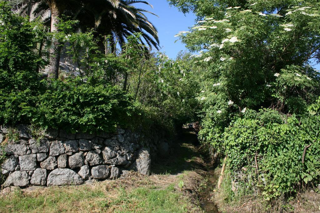 Casa Giacometti Grosseto-Prugna Ruang foto