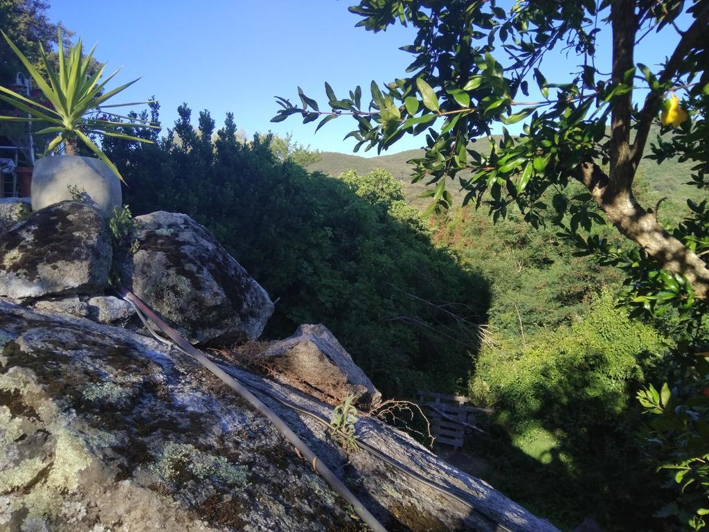 Casa Giacometti Grosseto-Prugna Bagian luar foto