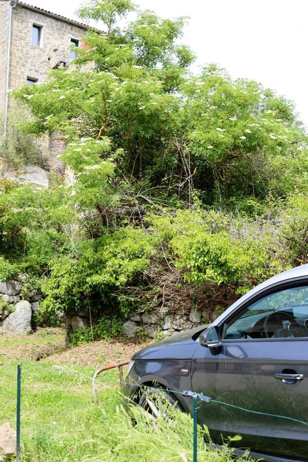 Casa Giacometti Grosseto-Prugna Bagian luar foto